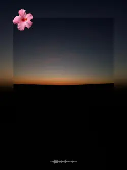 sunset