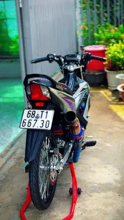 Mẫu xe kiểng