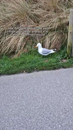 btw