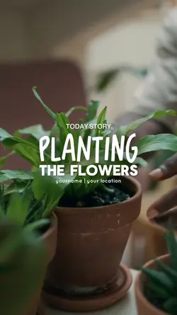 planting