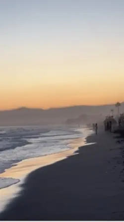 Beach template