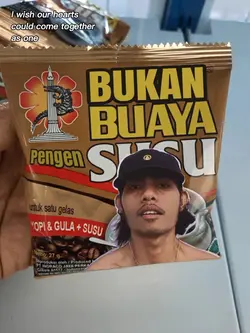 Bukan buaya
