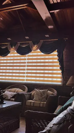 Window Blinds