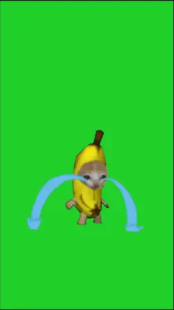 cat crying