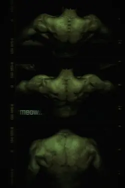 Meow meow