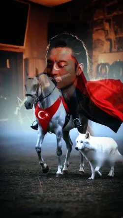 Bozkurt