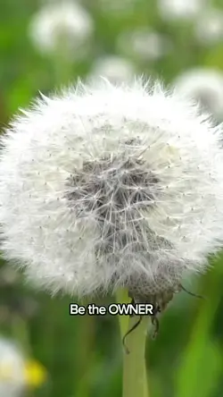 Be the OWNER