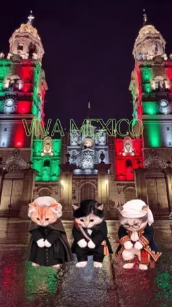 GATITOS BAILANDO 