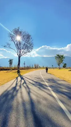 Slow +đổi màu 