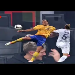 ZLATAN İBRAHİMOVİC 