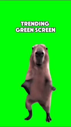#greenscreen