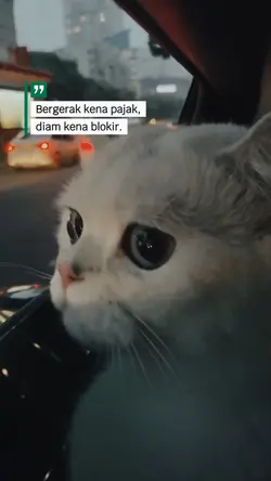 pajak
