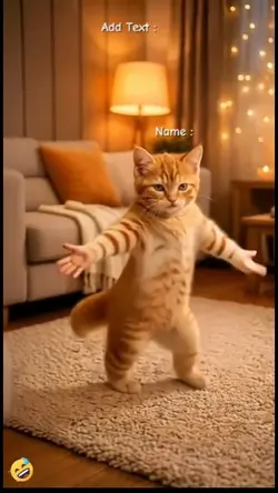 Funny Dance Cat