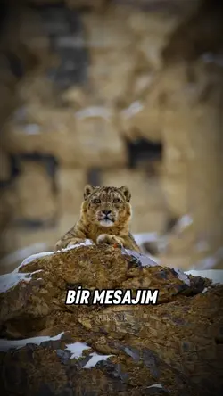 onakbalik