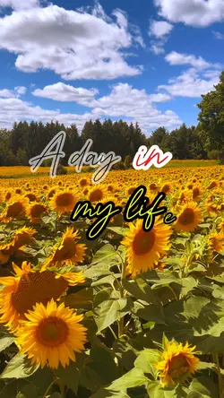 A day in my life