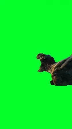 t rex roar
