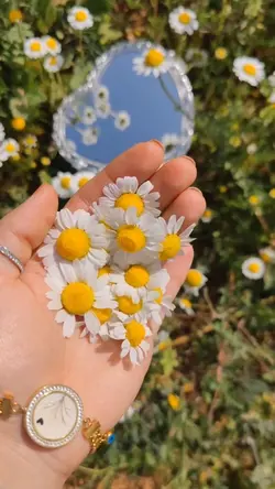 Hello May