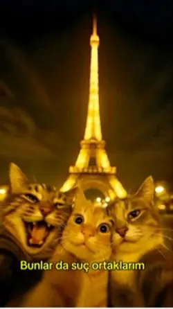 Cats friends