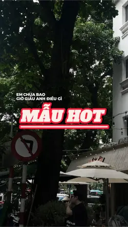 ẢNH + MÀU