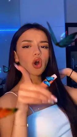Butterfly effect
