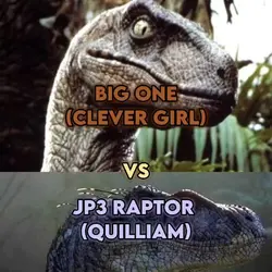 Raptor 1v1 edit