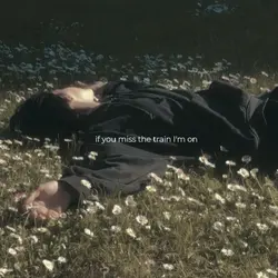 500 miles trend