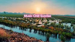 Music Chill Sunrise