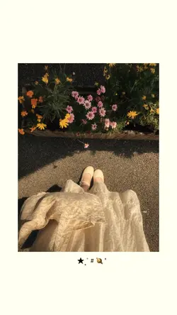 Frame aesthetic