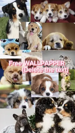 Puppy free wallpaper