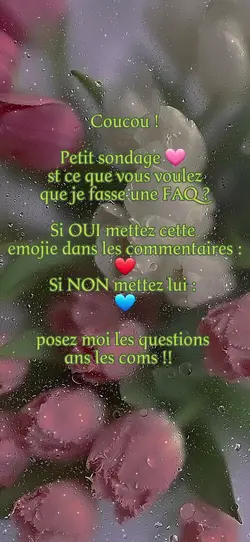 FAQ ou pas ??
