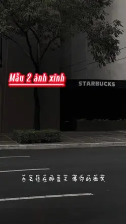 Mẫu 2 ảnh