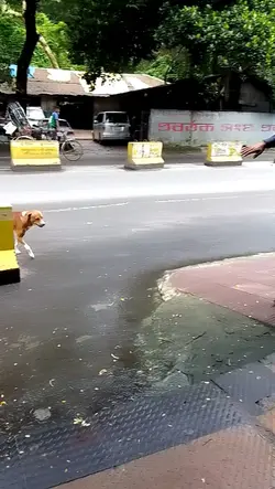 জীবনে তো অনেক মানুষে