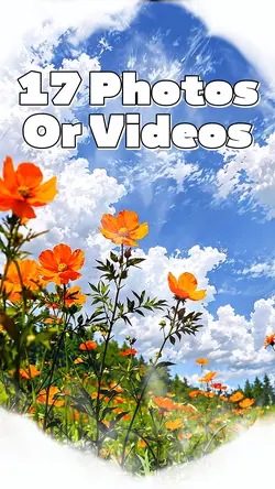 17 Photo Slides