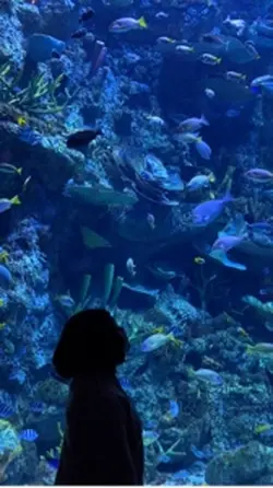 Aquarium Date