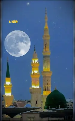 حضور اپ کے ہیں