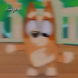 Bingo Bingo Baby