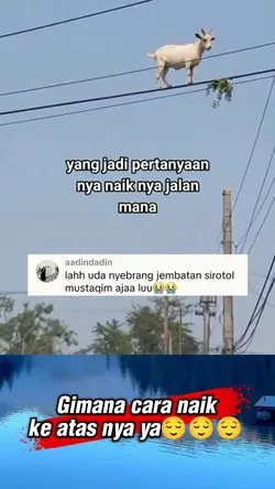 gimana naik nya
