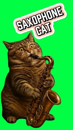 CAT PLAYING THE SAX