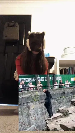 Sun bears😭