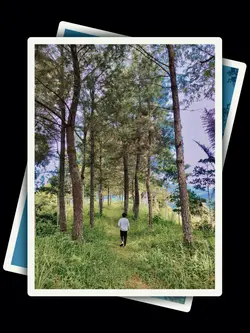 3Pic Aesthetic Trend