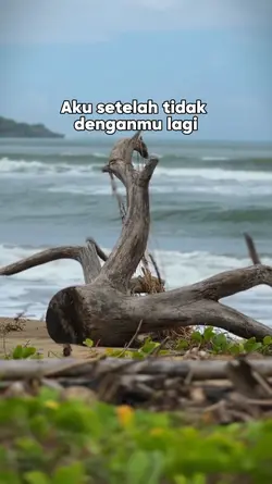 teks bisa diganti 