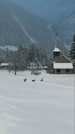 winter vibes