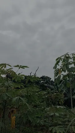 Jangan sebut namanya