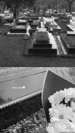 miss you