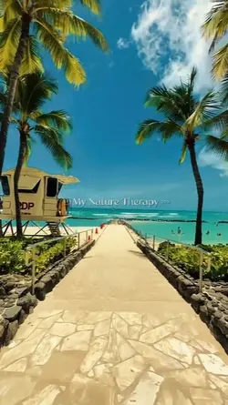 Nature Therapy