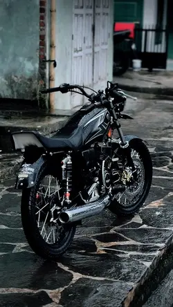 Rx King Blayer 