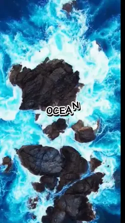 OCEAN 