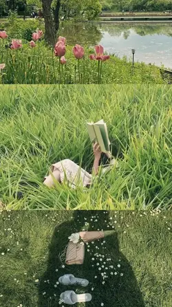 1 video 2 foto