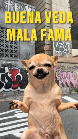 BUENA VEDA MALA FAMA