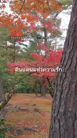 ดินแดนแห่งความรัก
